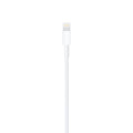 Cablu Incarcare & Date USB la Lightning Apple 1m - MXLY2ZM/A Original in cutie - 190199534865 - 3