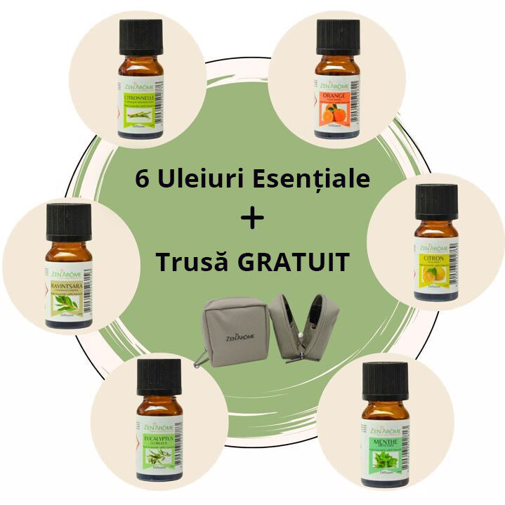 Kit 6 Uleiuri Esentiale + Gratuit Trusă Stocare Sticlute - 10ml 100% Pur Natural Organic - PACK-HE + TROUSSE6 - 1