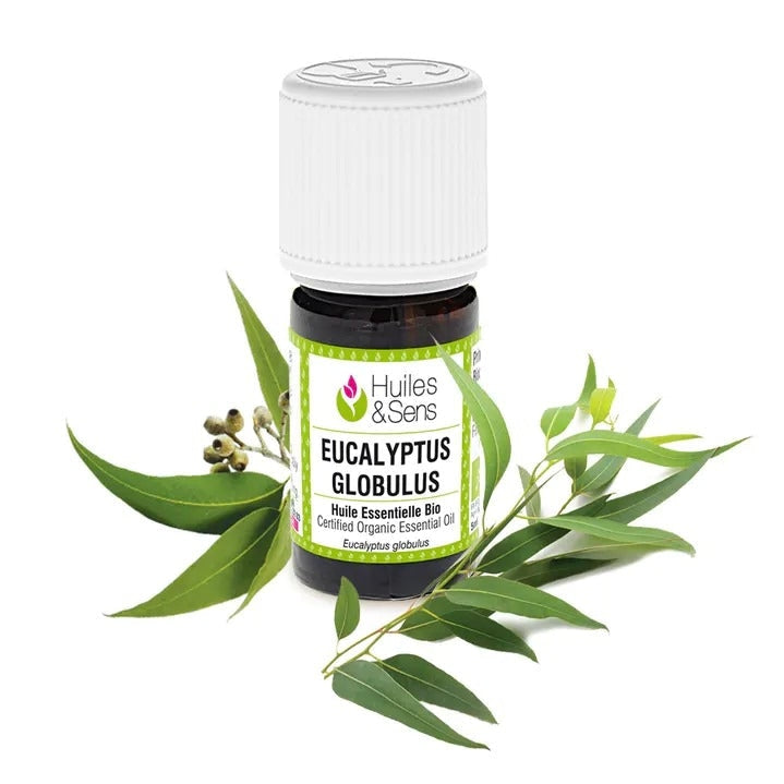 Ulei Esential Eucalipt Globulus 15ml - 100% Pur Natural Organic - HS_71_92 - 3760185911665 - 1